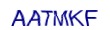 simple_captcha.jpg